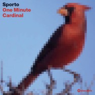 Sporto - One MInute Cardinal